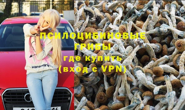 прущие крисы Переславль-Залесский
