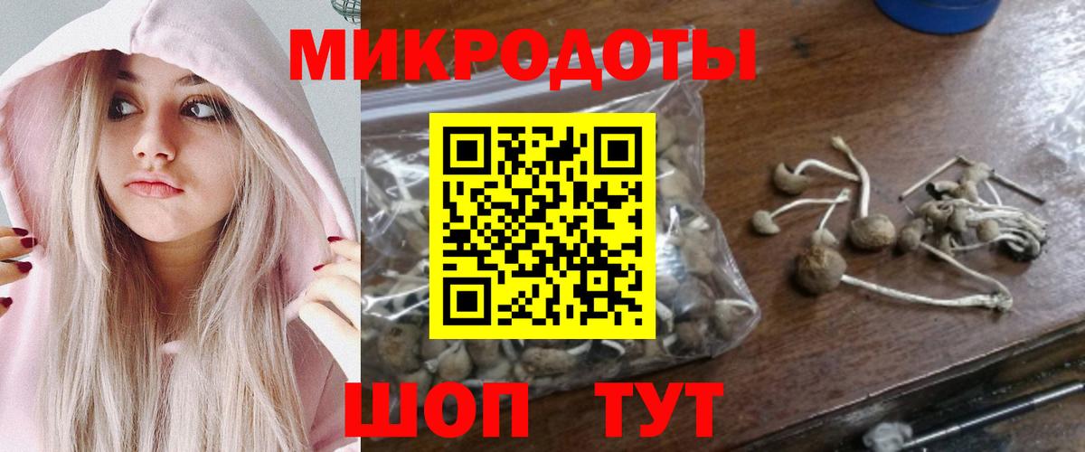 Псилоцибиновые грибы GOLDEN TEACHER  Борисоглебск  Галлюциногенные грибы Magic Shrooms 
