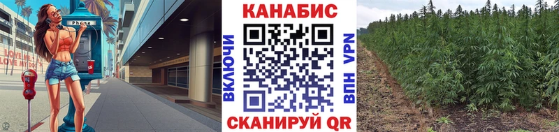Конопля планчик  как найти закладки  Борисоглебск 